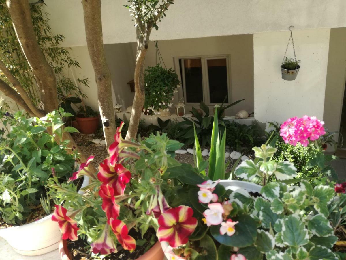 B&B Buzolic Đảo Hvar Ngoại thất bức ảnh
